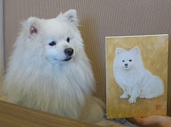 本犬と・平良レイ先生撮影
